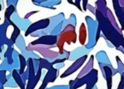 《口袋妖怪 红/绿》：开启宝可梦传奇的经典之作