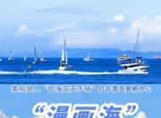 这个夏天被青岛奥帆拿捏