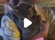 猫咪参加云南火把节，秒变黑猫